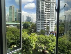 Rajah Tower (D12), Apartment #507073631